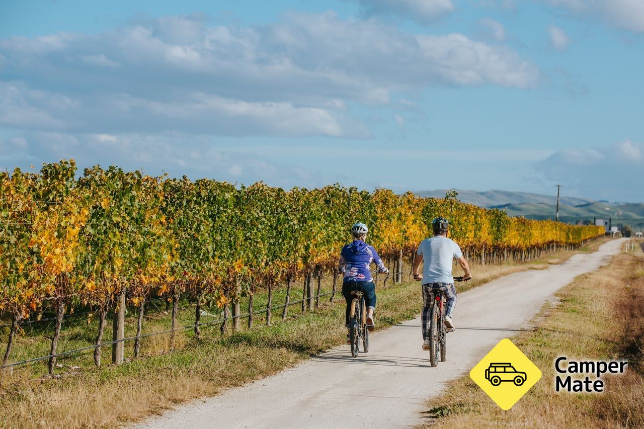 Tempat untuk menginap di Yer Bike Hawkes Bay