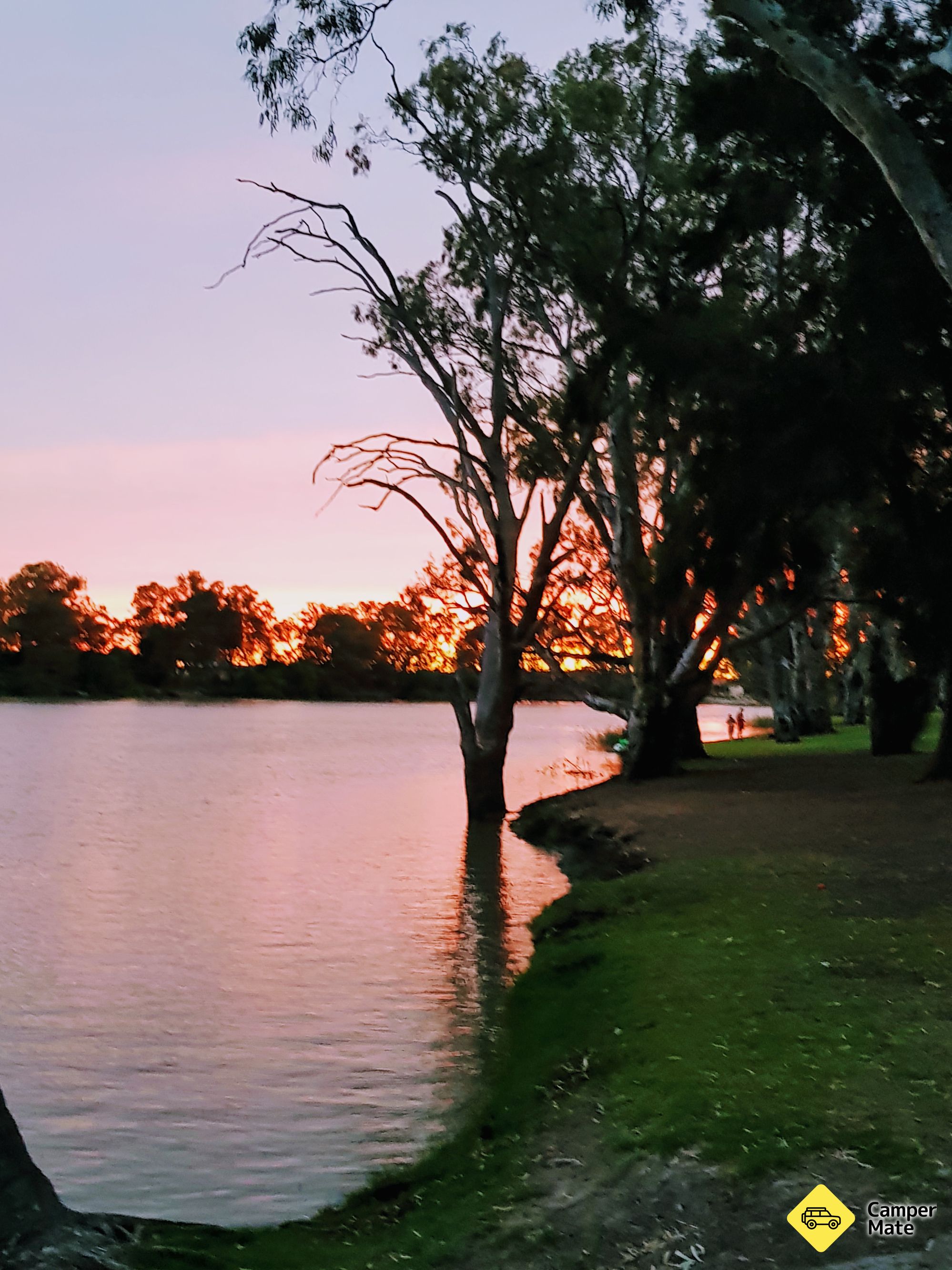 Tempat untuk menginap di Martins Bend Campground