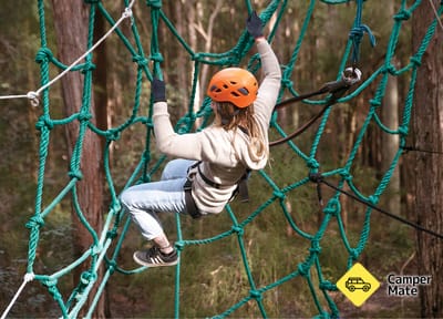 Treetops Adventure Central Coast