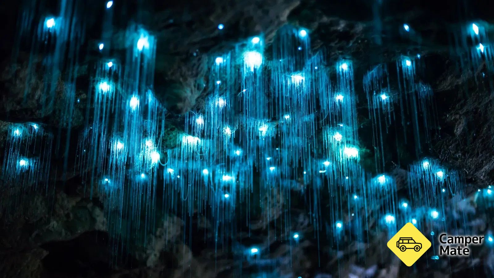 Glow Worm Caves Tamborine Mountain - Image 3