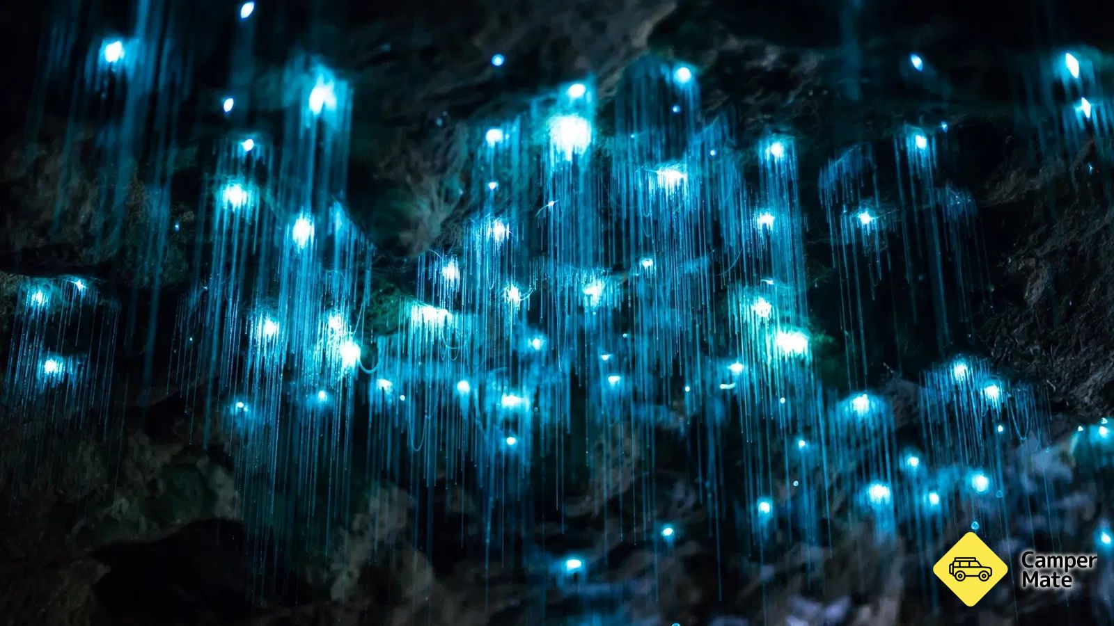Tamborine Mountains Glowworm Caves