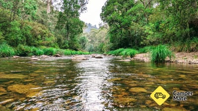 8 Mile Campground