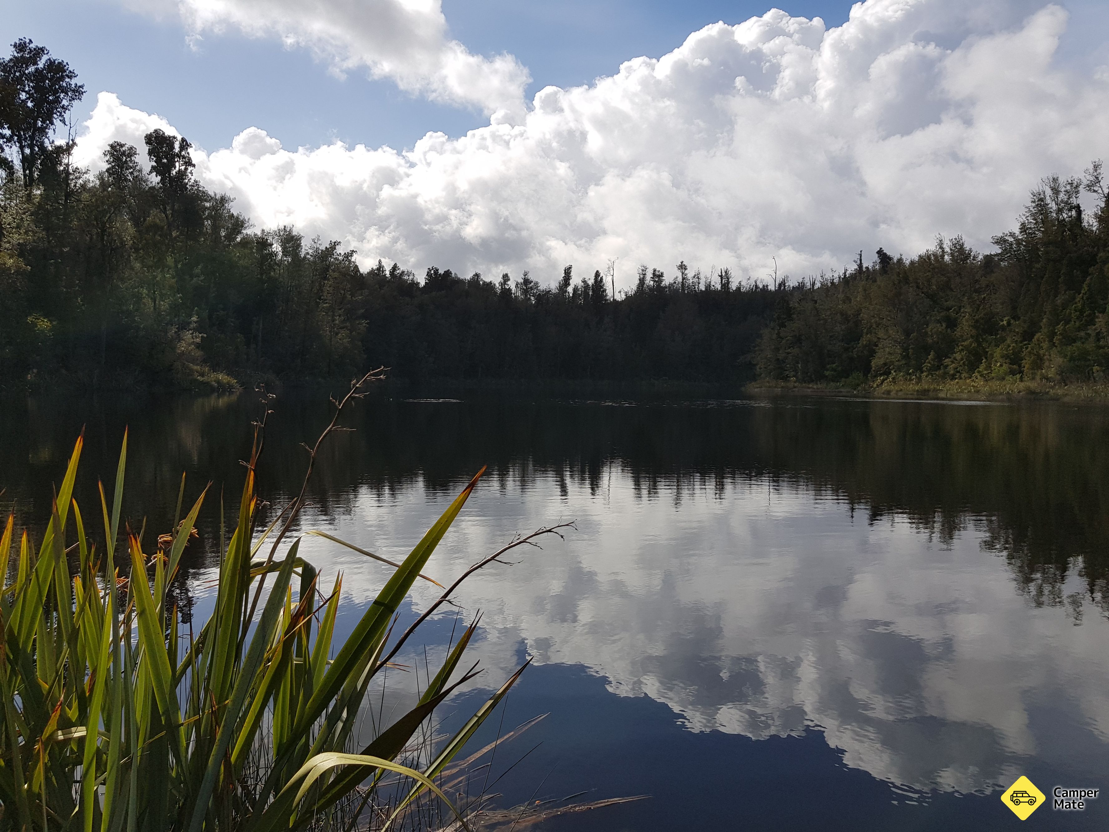 Lake Hanlon Track - Image 3