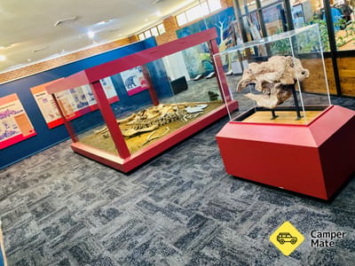 Australian Museum Diprotodon Exhibition