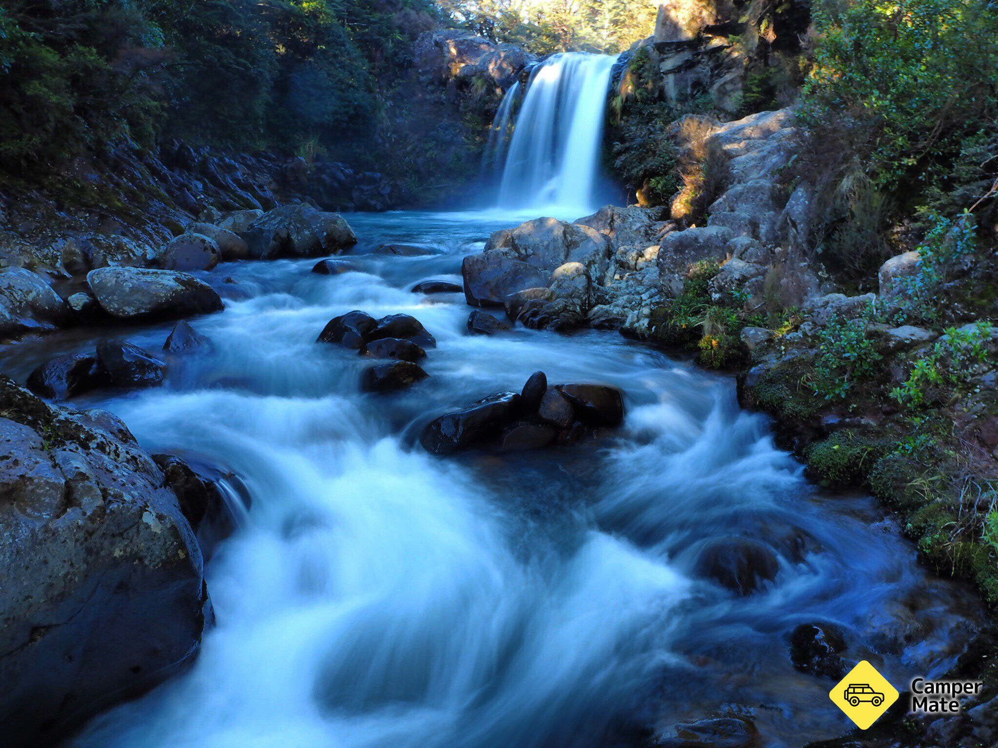 Tawhai Falls Walk - Image 2