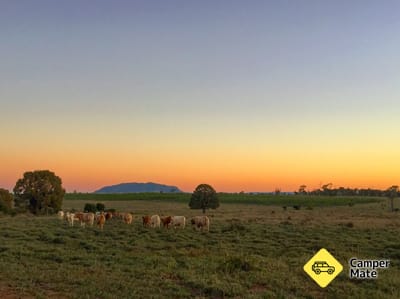 Myella Farmstay