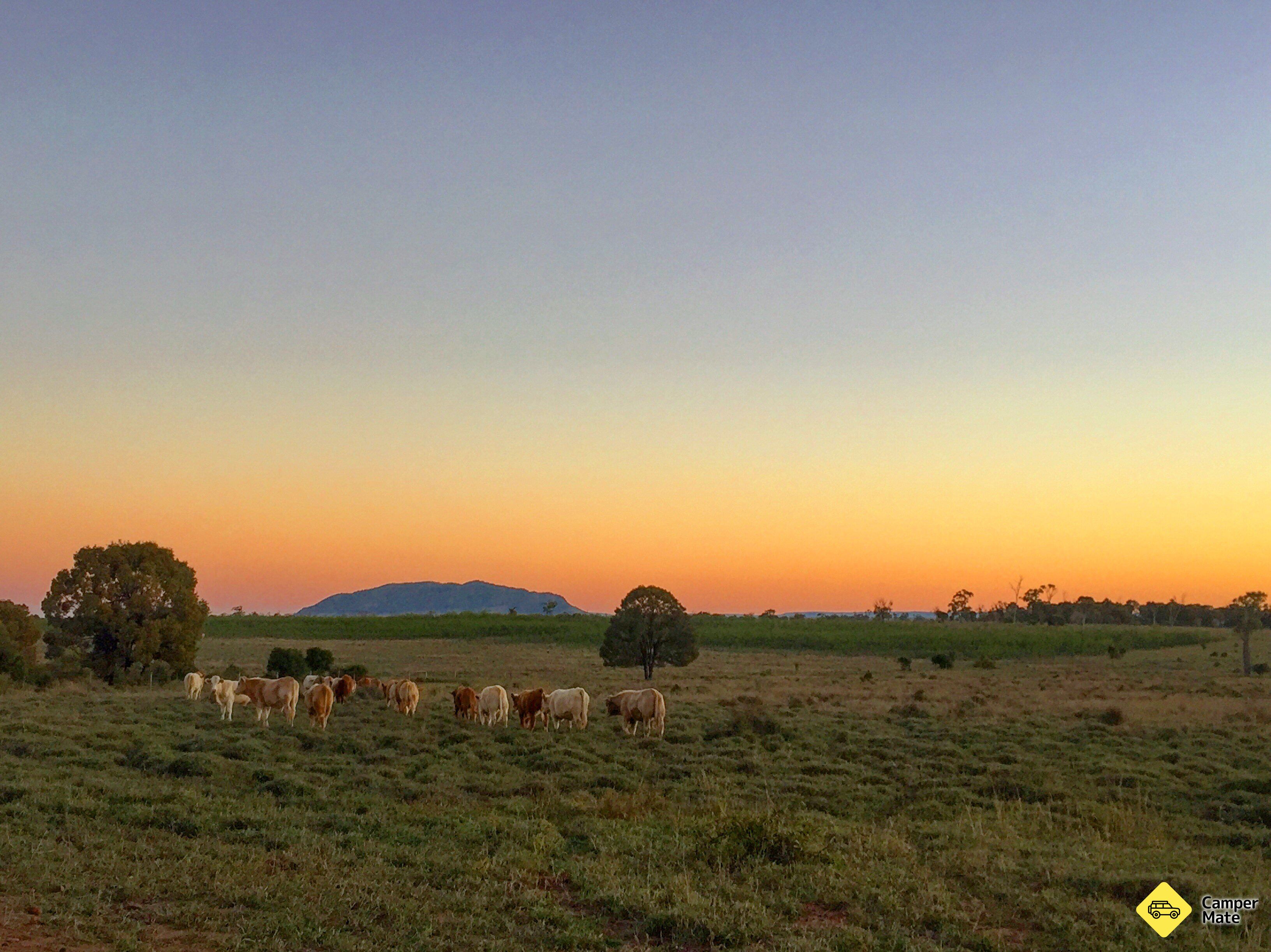 Myella Farmstay