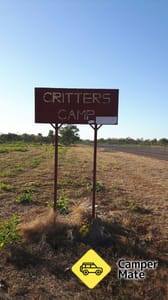 Critters Camp