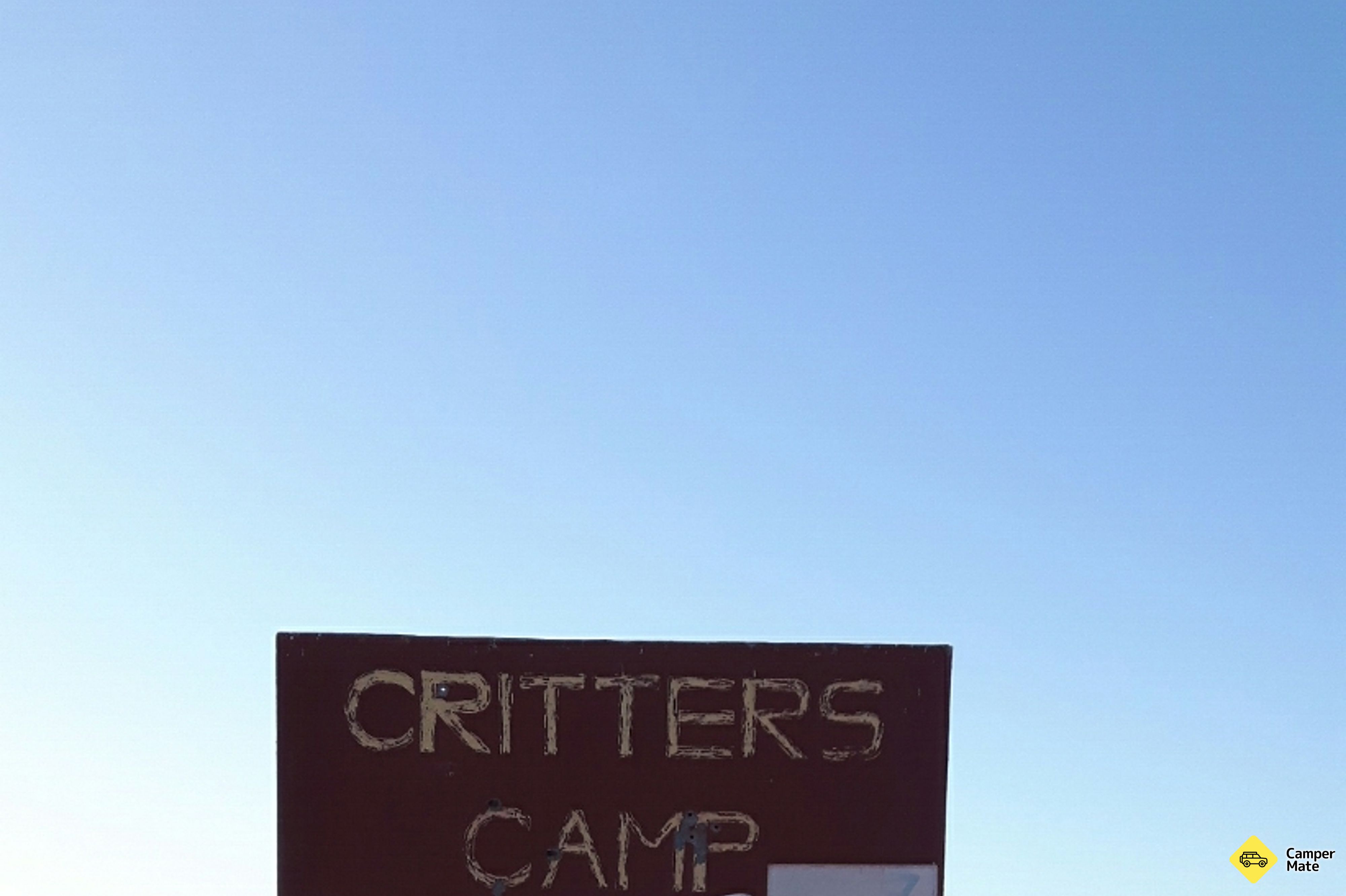 Critters Camp