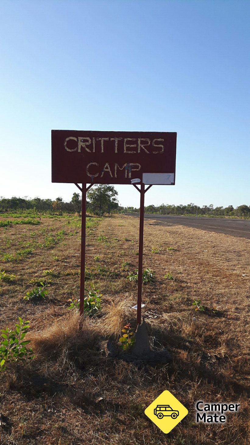 Critters Camp