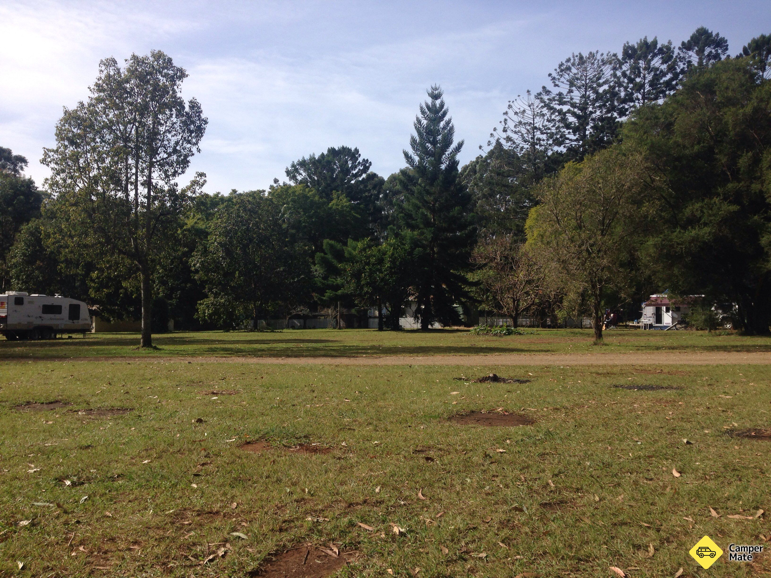 Coopernook Forest Park Camp Area