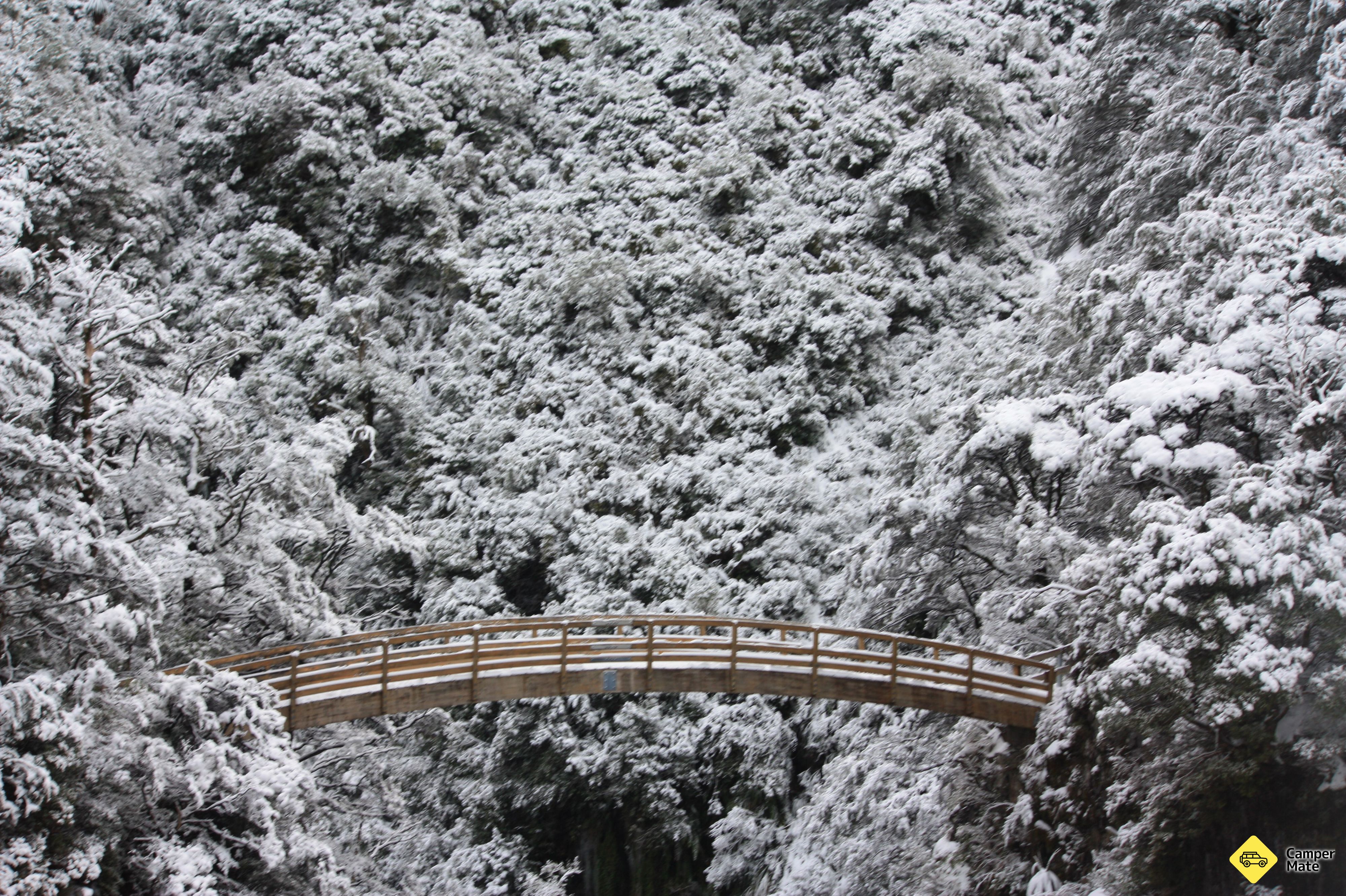 Rangiwahia Hut Track - Image 2