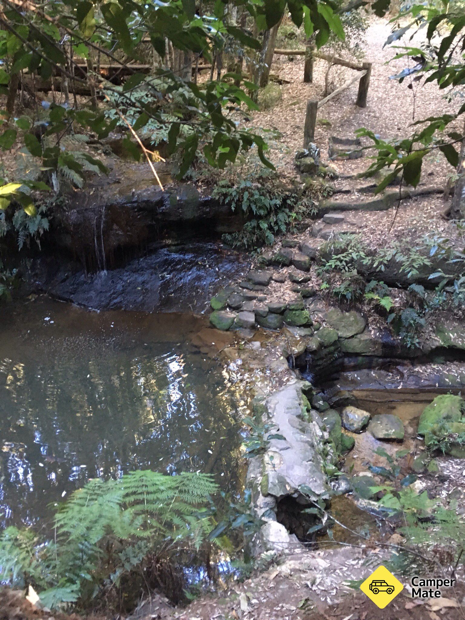 The Pines Camping Area at Olney State Forest