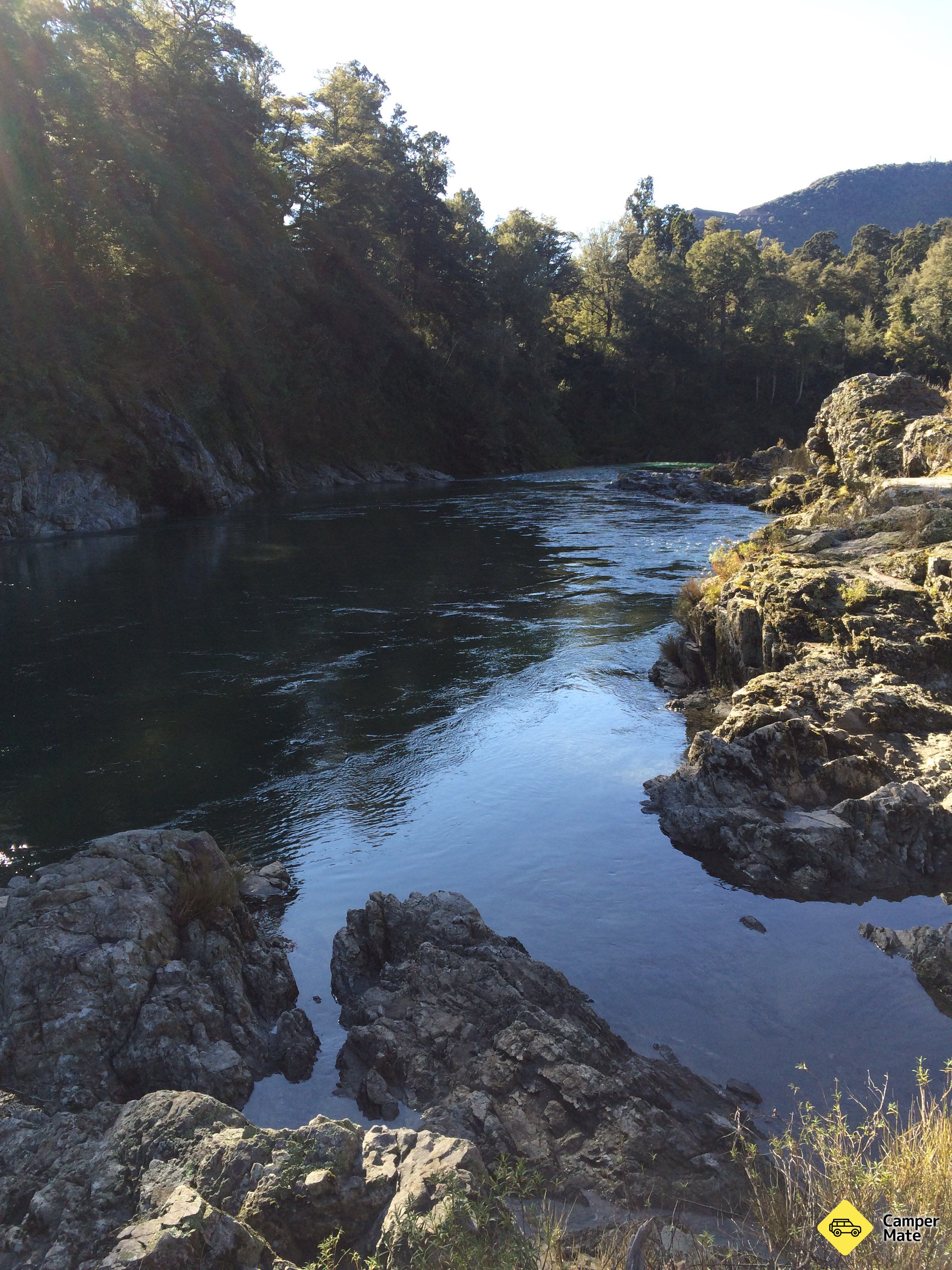 Totara Walk - Image 2