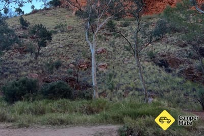 Gorge View Bush Retreat