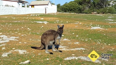 Cape Borda Lightstation