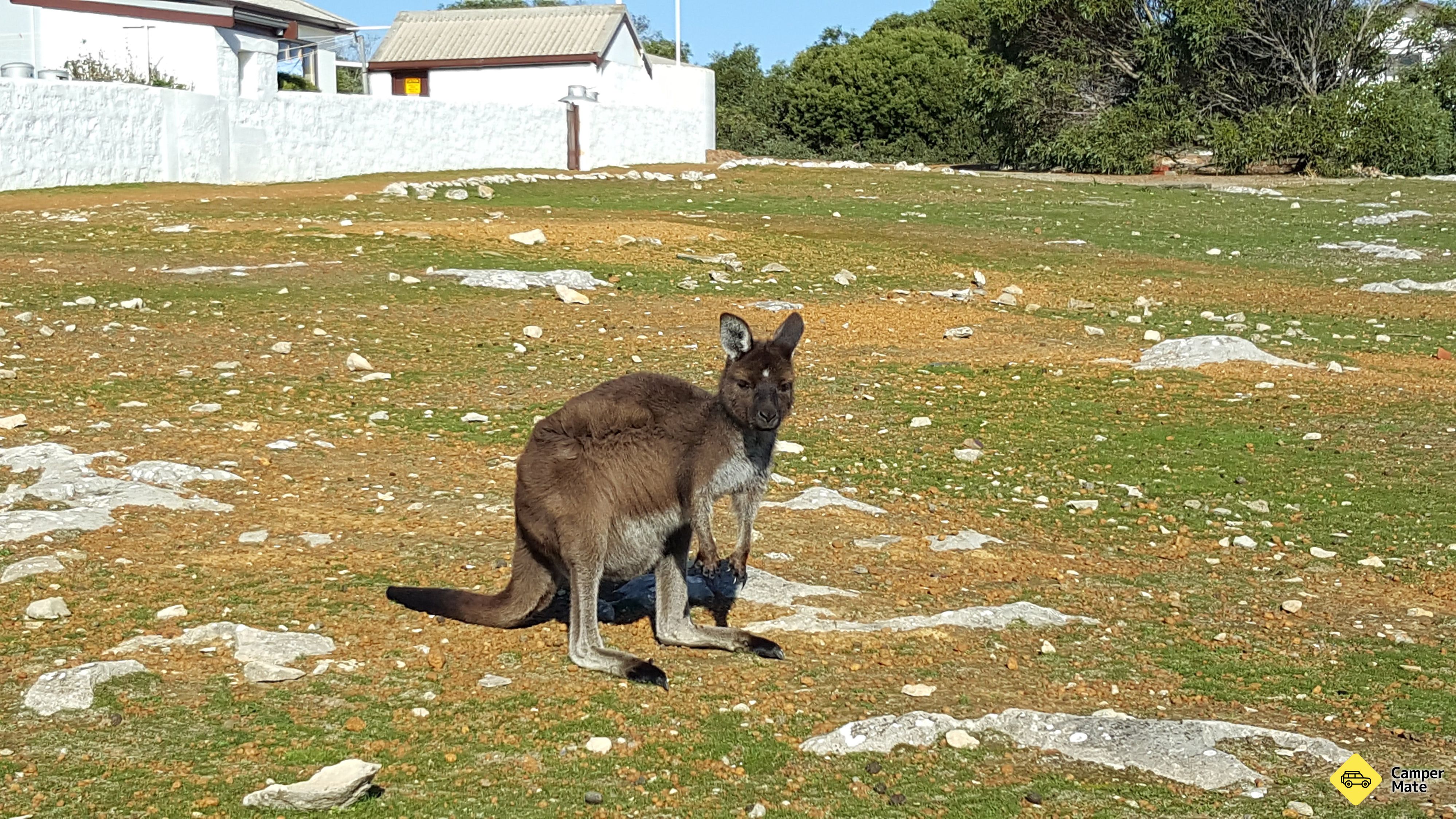 Cape Borda Lightstation
