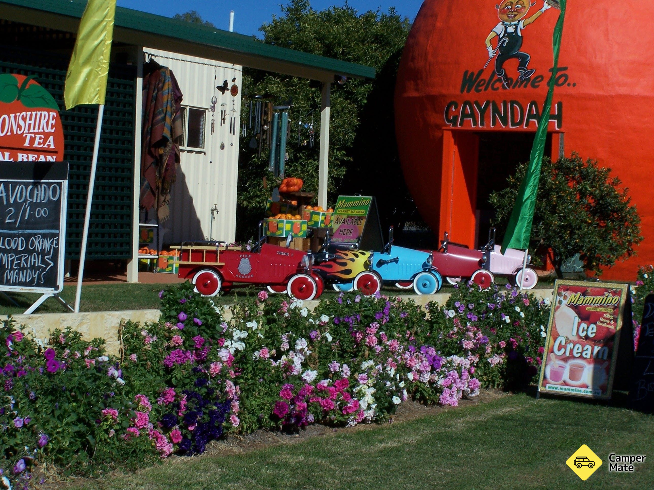 Gayndahs Big Orange - Image 3