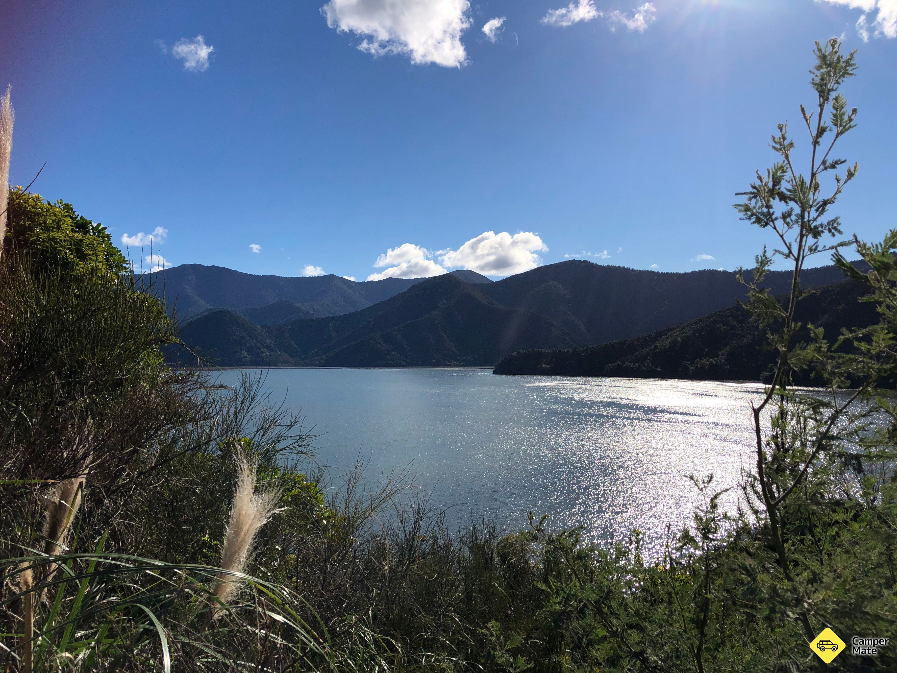 Queen Charlotte Drive