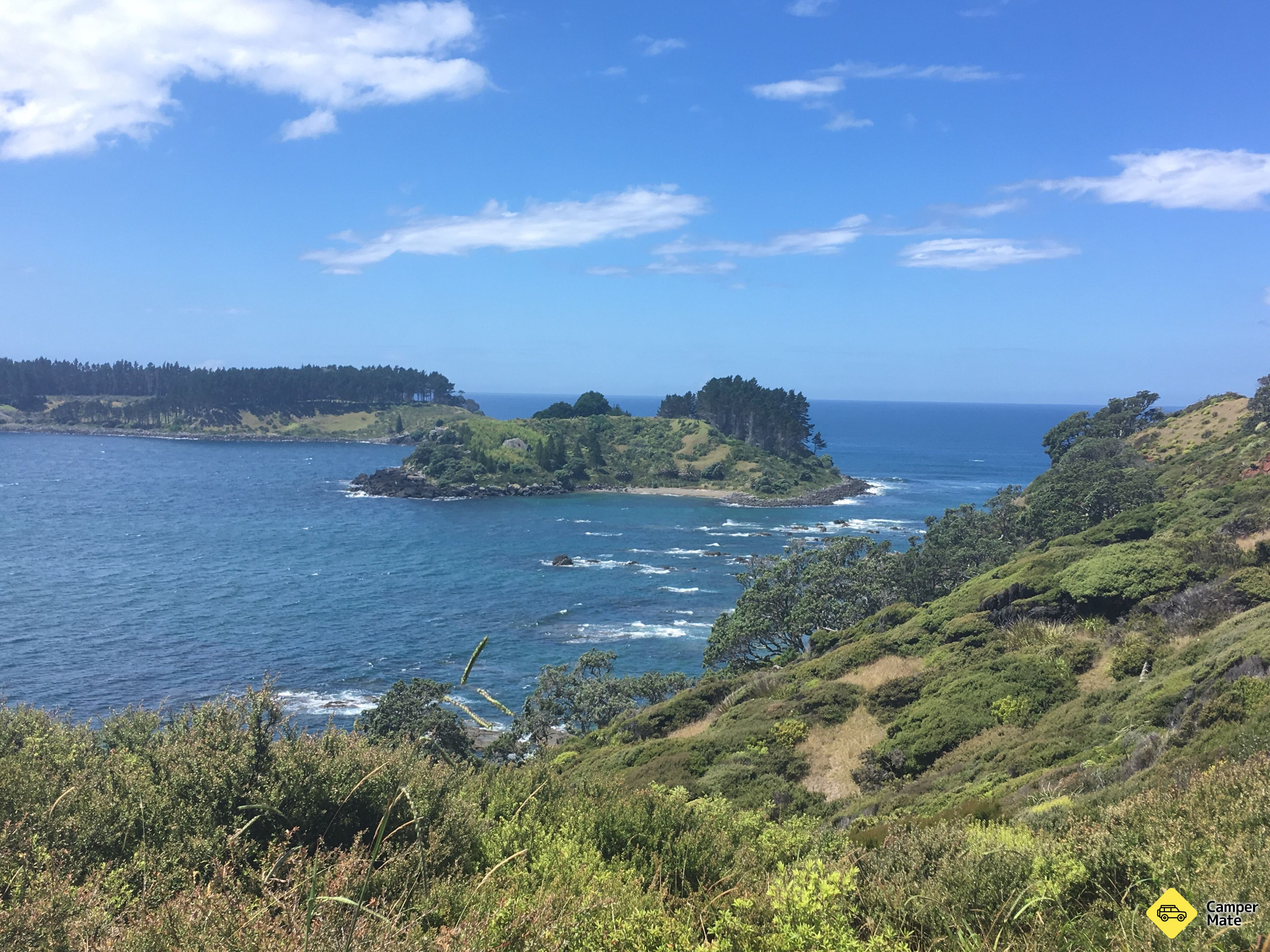 Mahinepua Peninsula Walking Track - Image 2