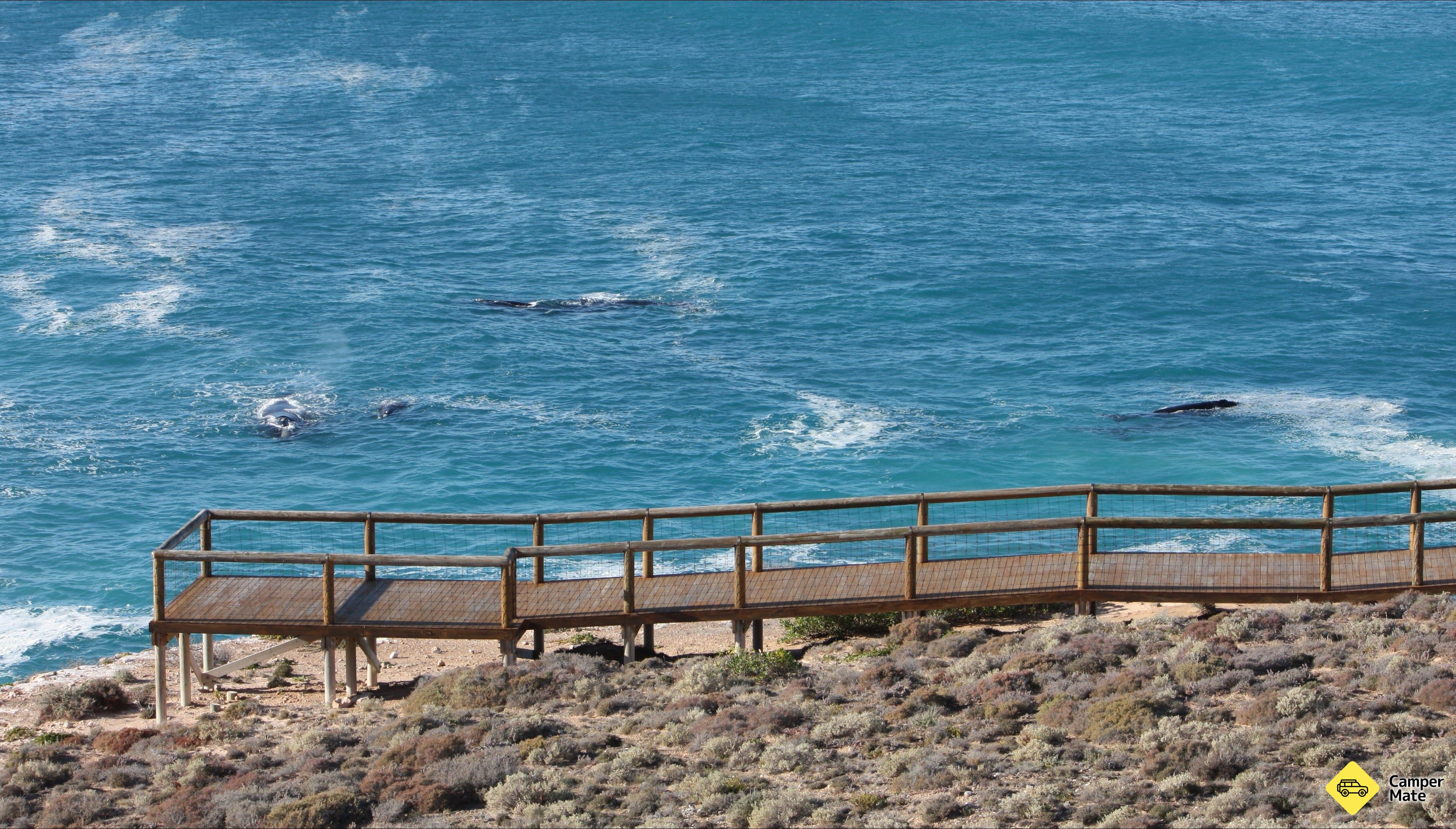 Head Of Bight Whale Watch and Viewpoint - Image 2