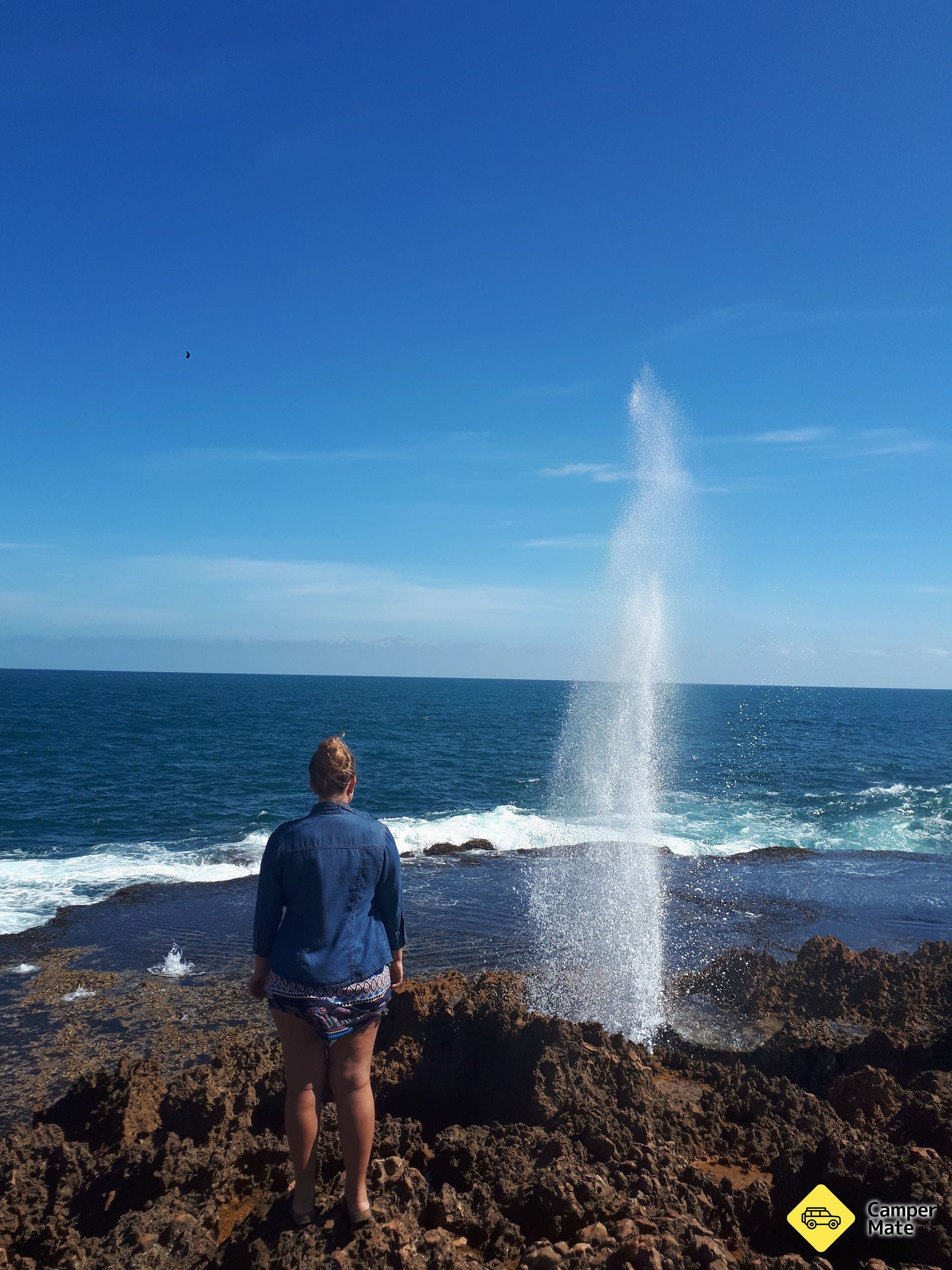 Blowholes and Point Quobba - Image 2