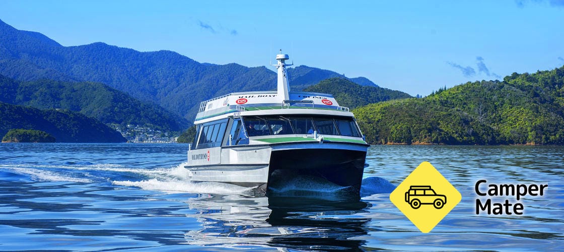 Queen Charlotte Sound Cruise yakınlarında yapılacak şeyler - Image 3