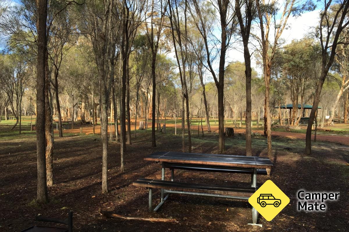 Congelin Campground - Image 2
