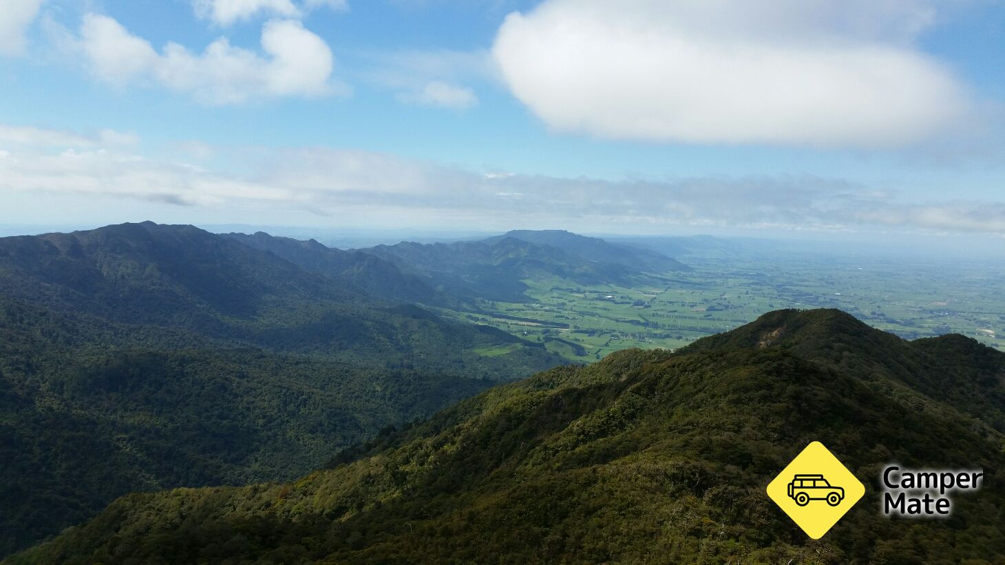 Te Aroha Summit Track - Image 2