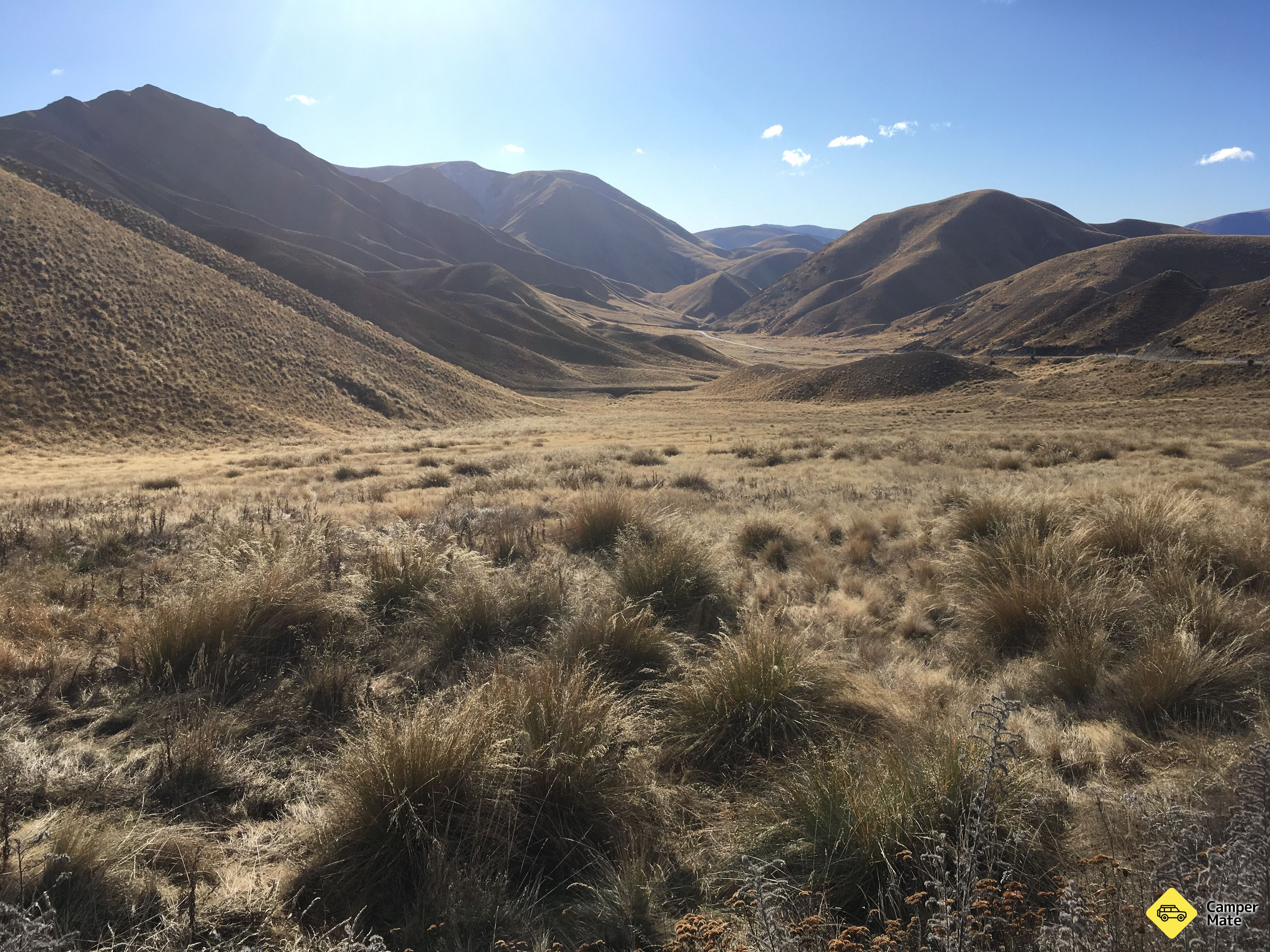 Lindis Pass Summit - Image 3