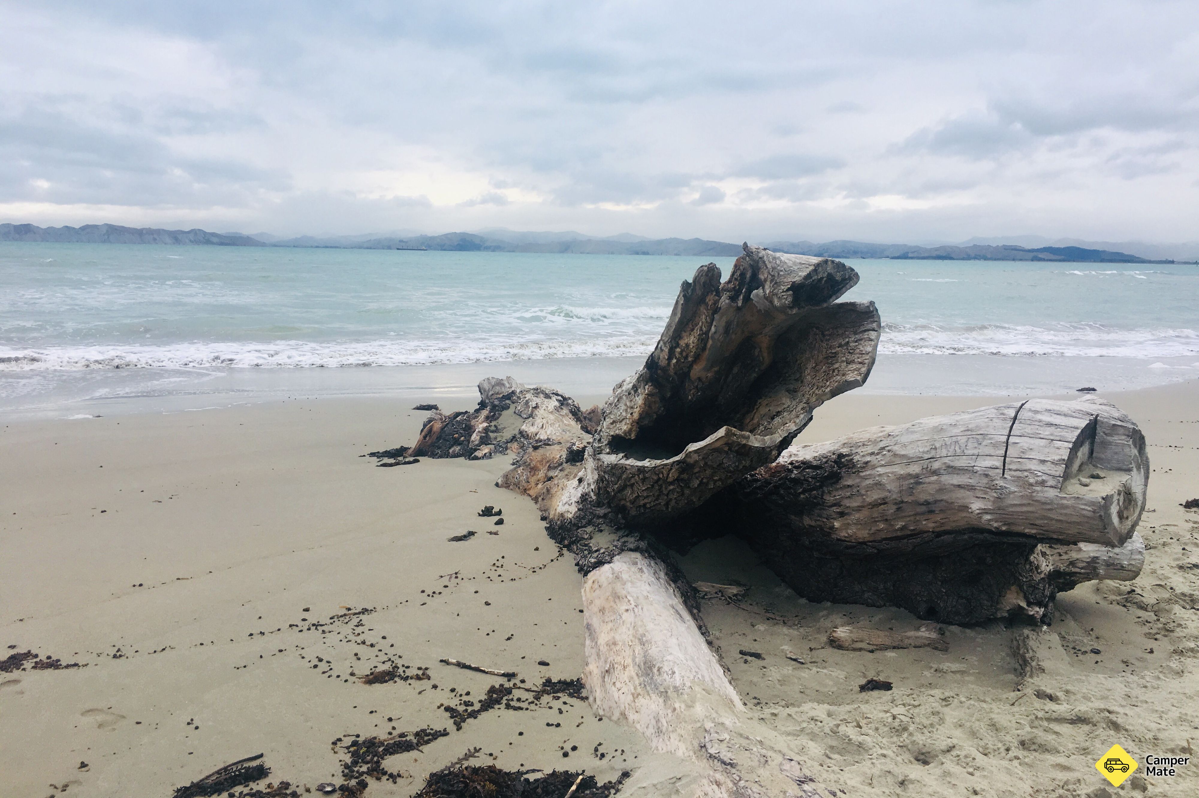 Kaiti Beach - Image 3