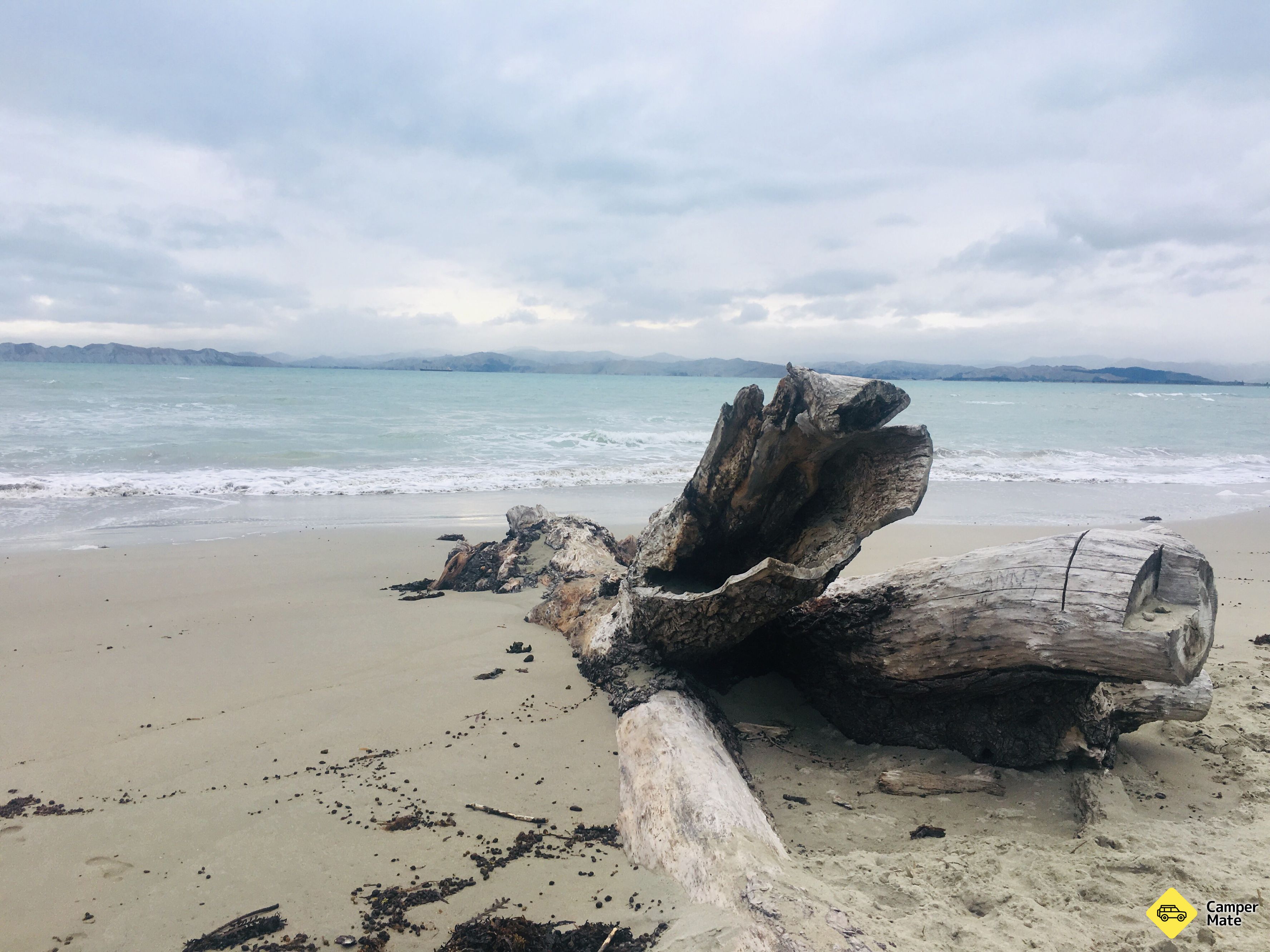 Kaiti Beach  - Image 3