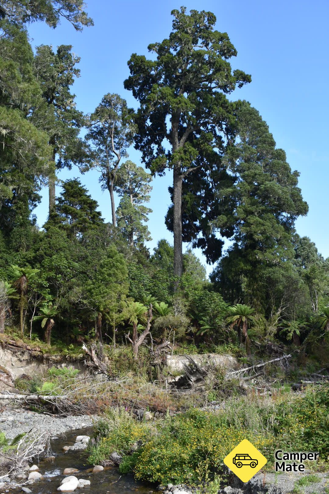 Sanctuary Campsite - Image 3