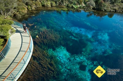 Te Waikoropupu Springs