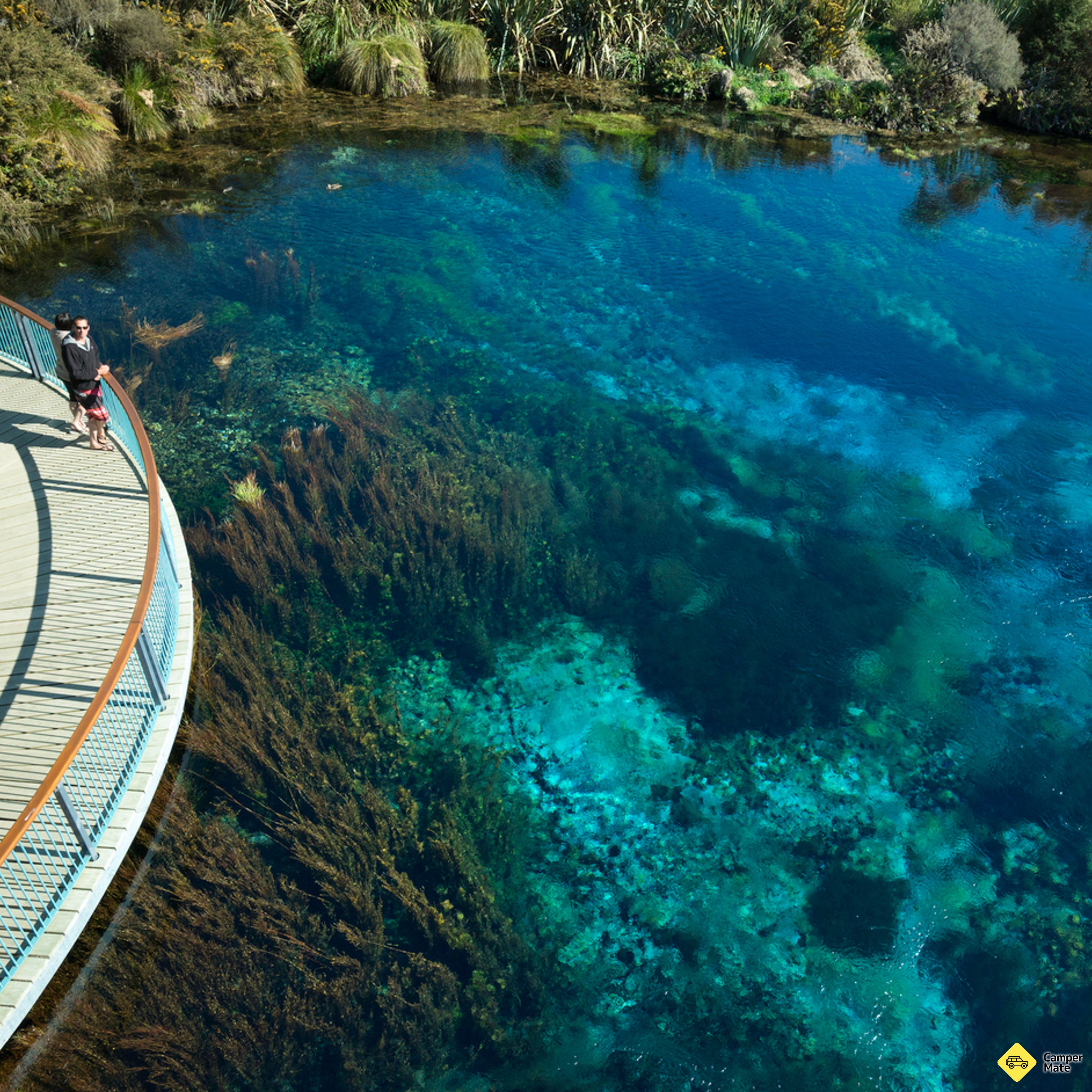 Om Waikoropupu Springs