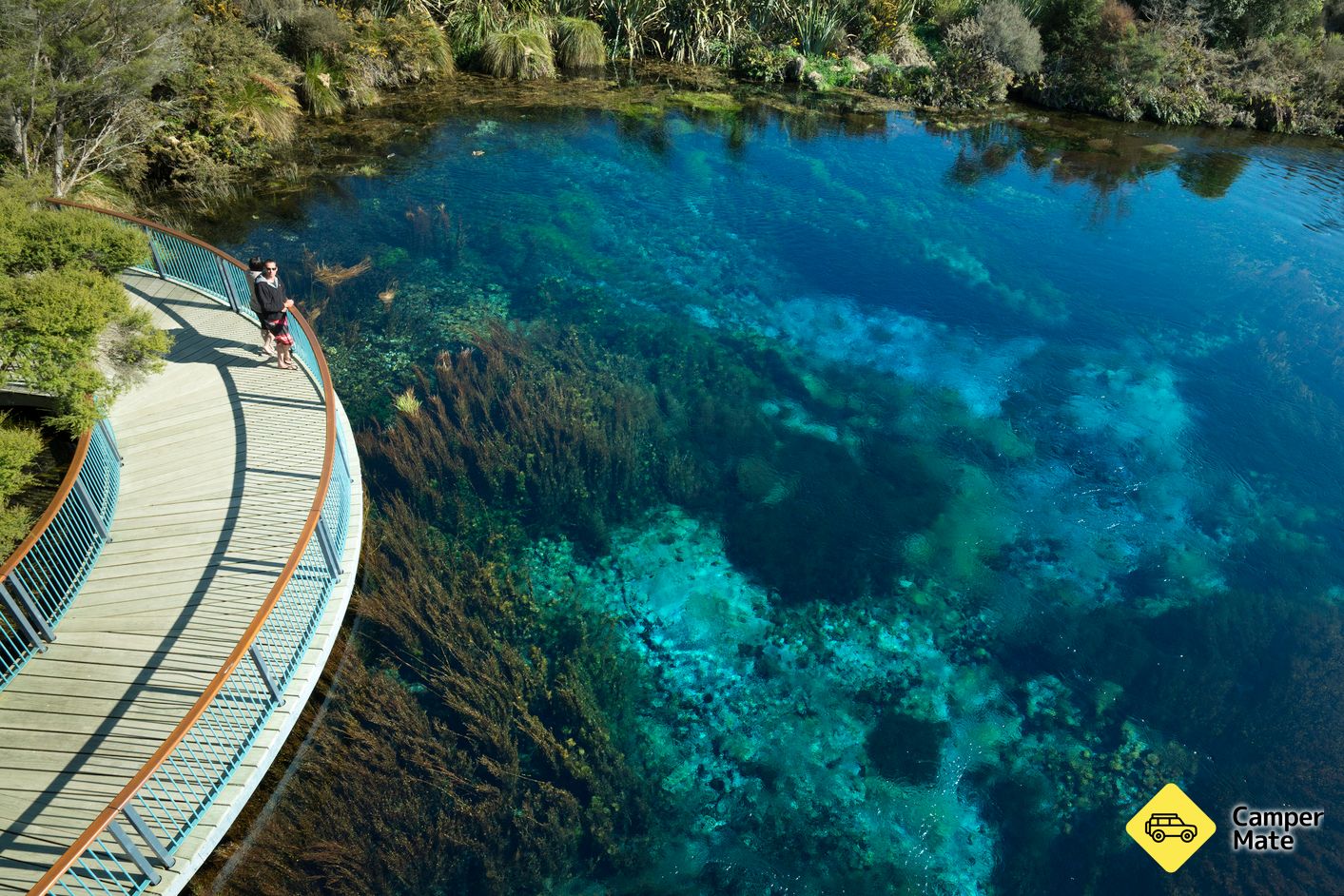 Te Waikoropupū Springs