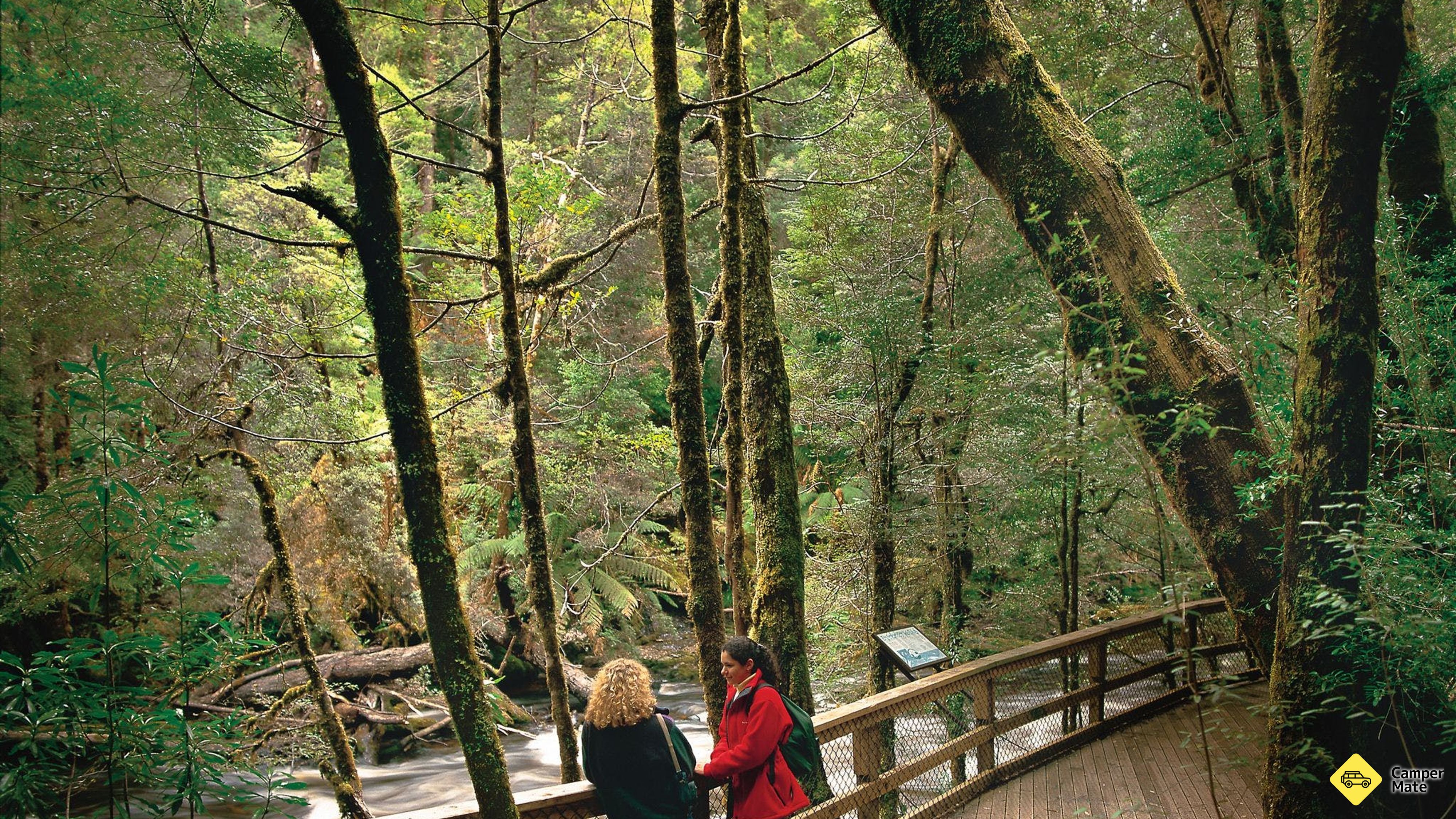 Franklin River Nature Trail