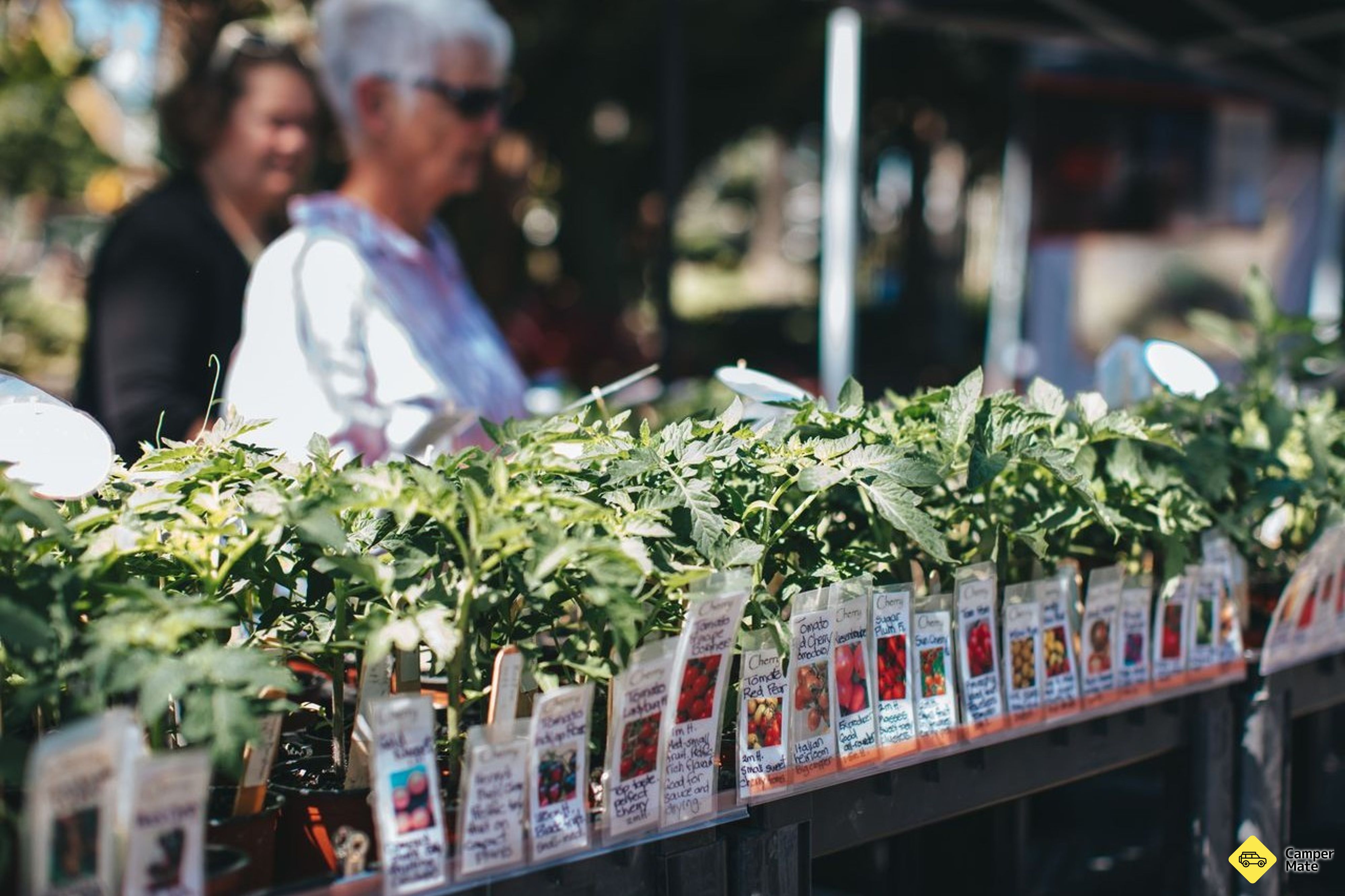 Napier Urban Farmers Market - Image 2