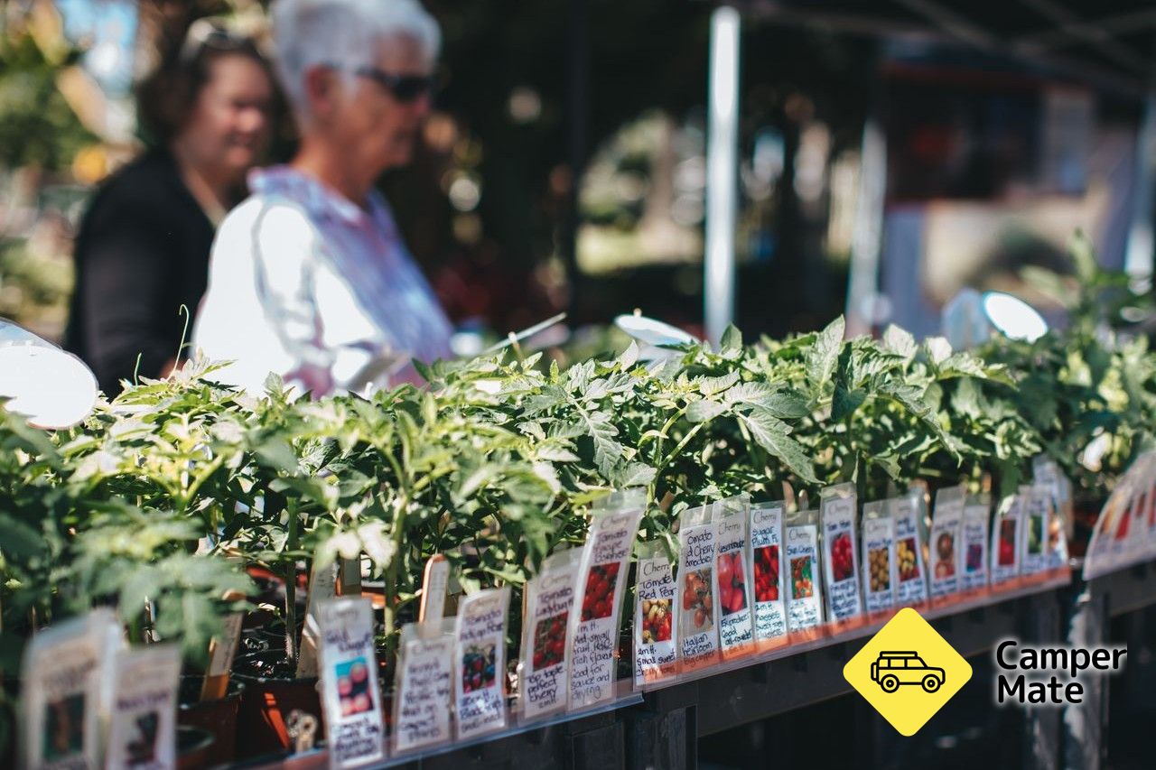 Napier Urban Farmers Market - Image 2