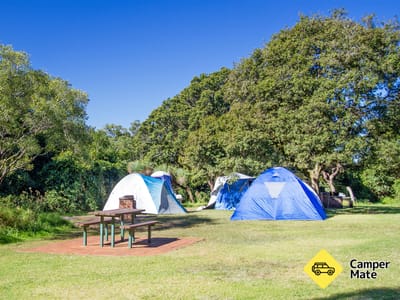 Parc national des montagnes de Bunya