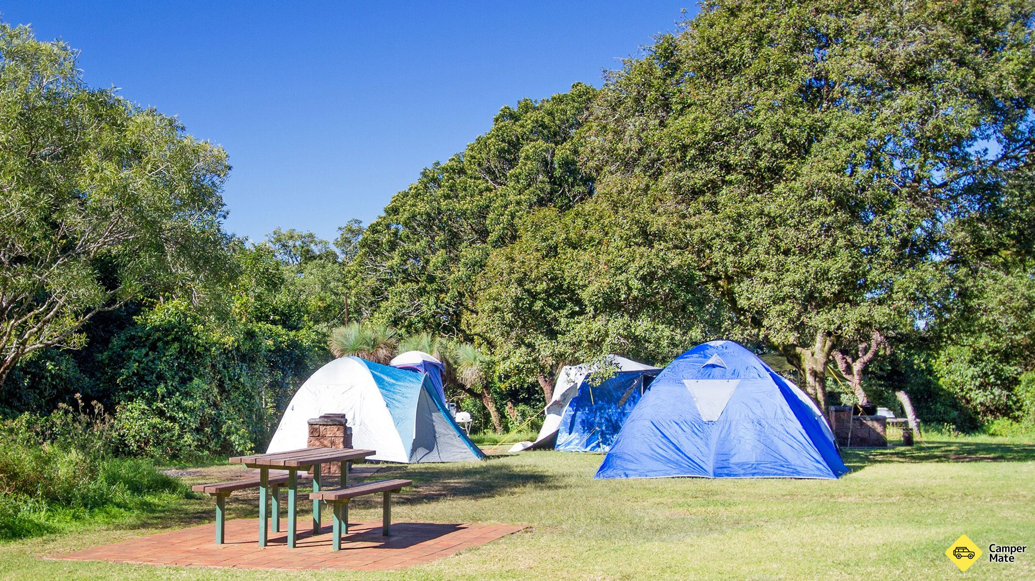 Bunya Mountains National Park Campingplatz