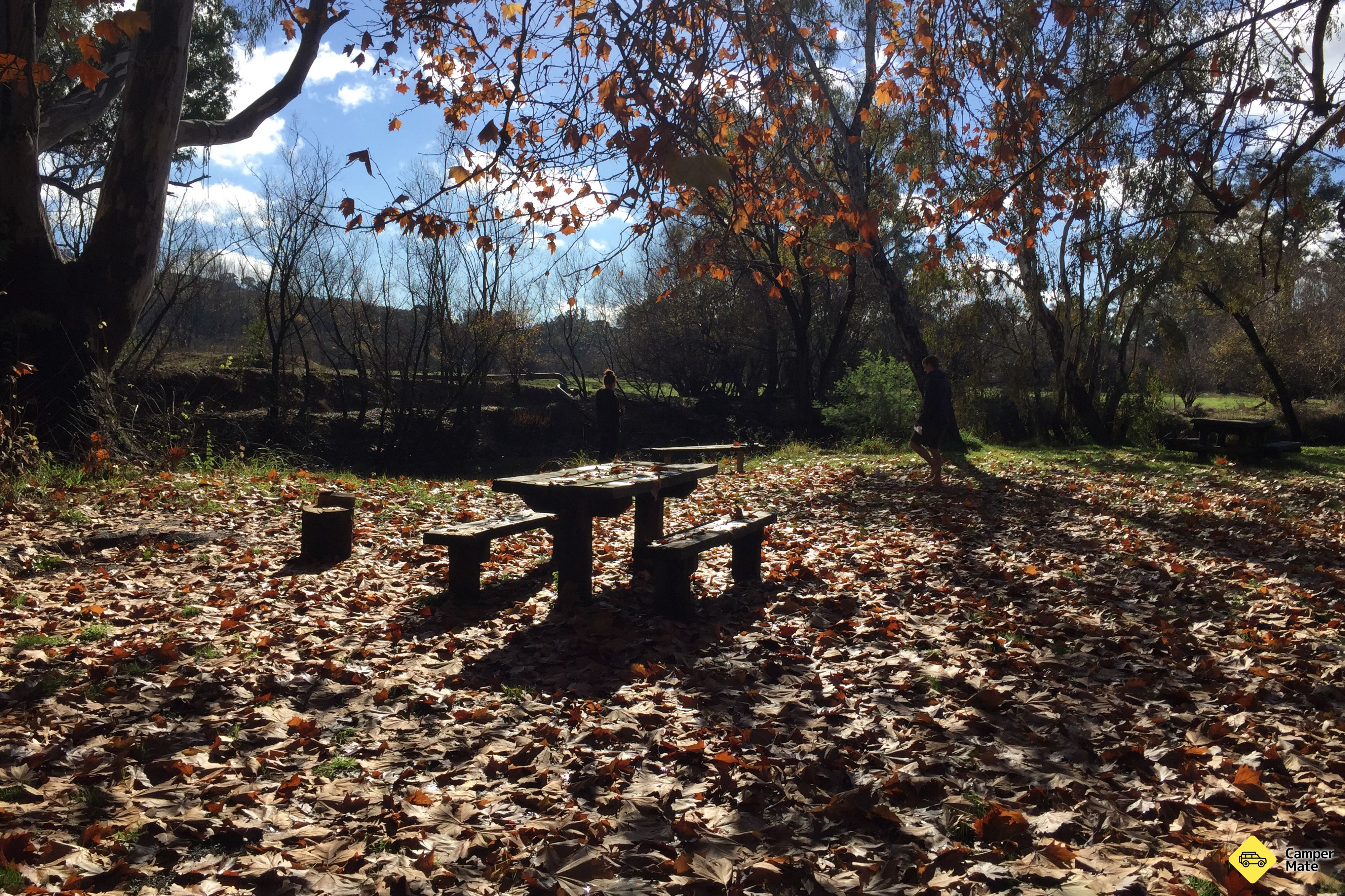 Kergunyah Bridge Reserve Campground