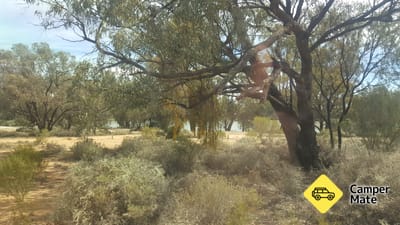 Murtho Forest landing