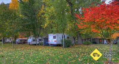 Bright Accommodation Park