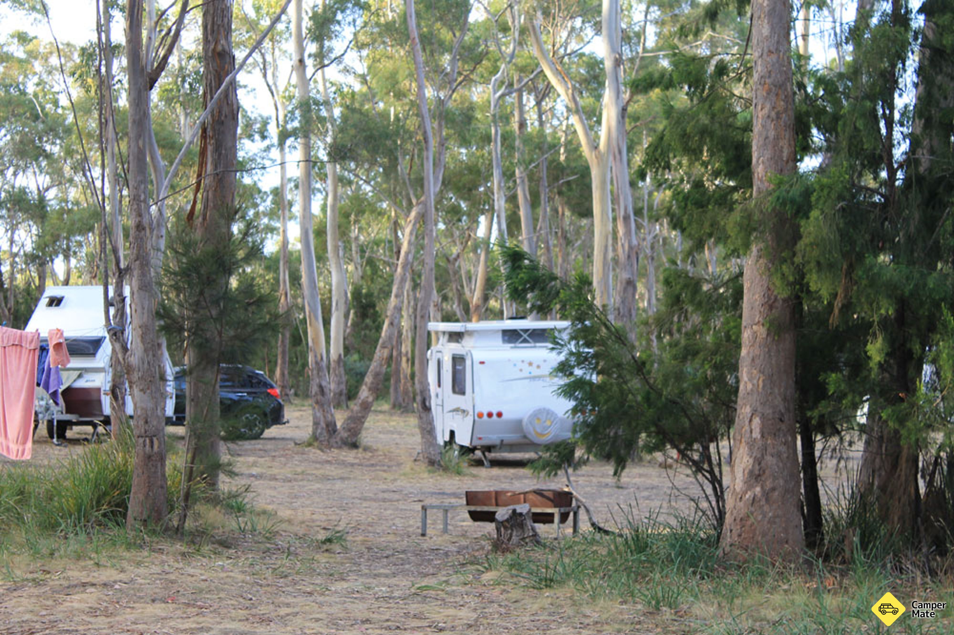 El campo de Lea Bush - Image 3