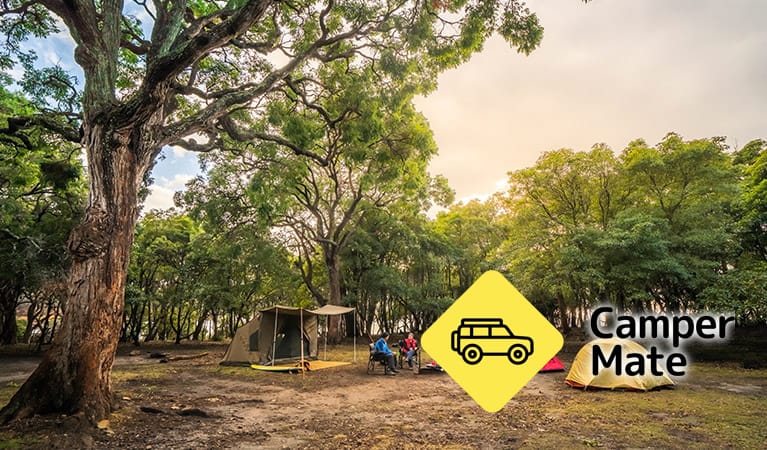 Bittangabee Campground