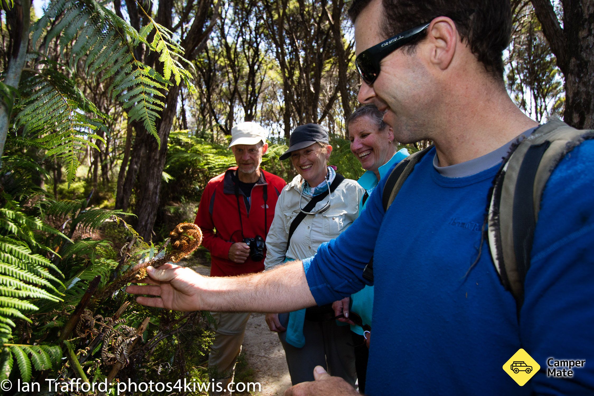 Abel Tasman Eco Tours - Image 2
