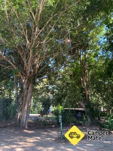 Kuranda Caravan Park