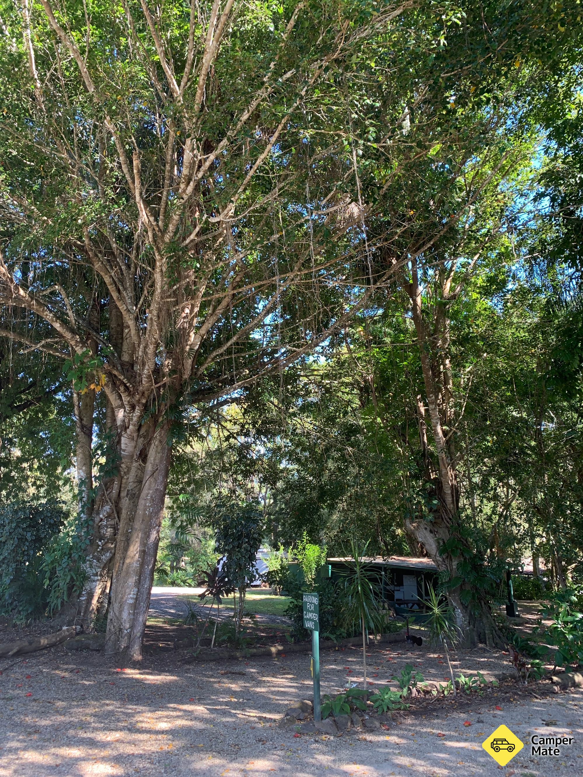 Kuranda Caravan Park