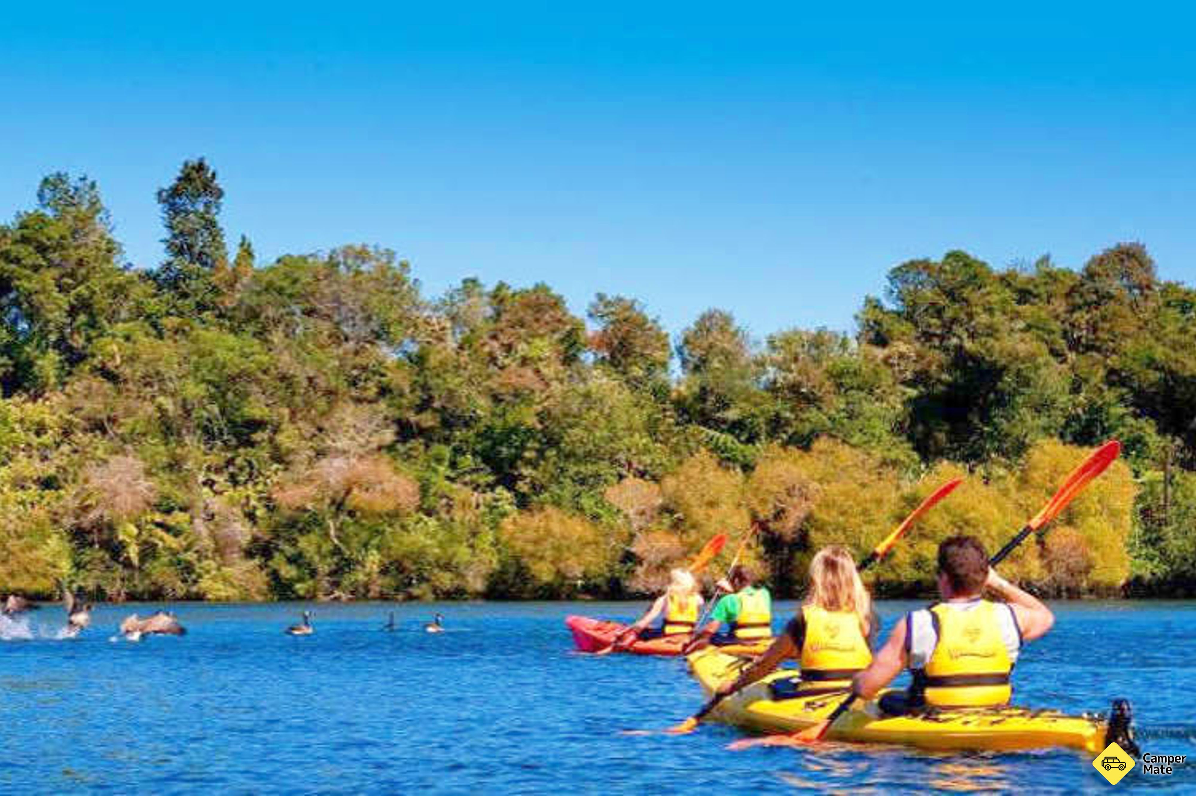 אגם מקלרן Lake Mclaren Kayak Tour - Image 3